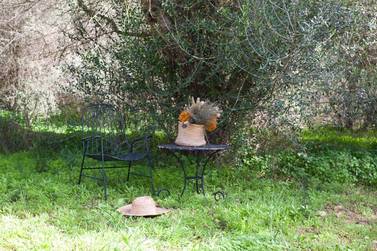 Finca Son Sureda Agroturismo Manacor  Exterior foto